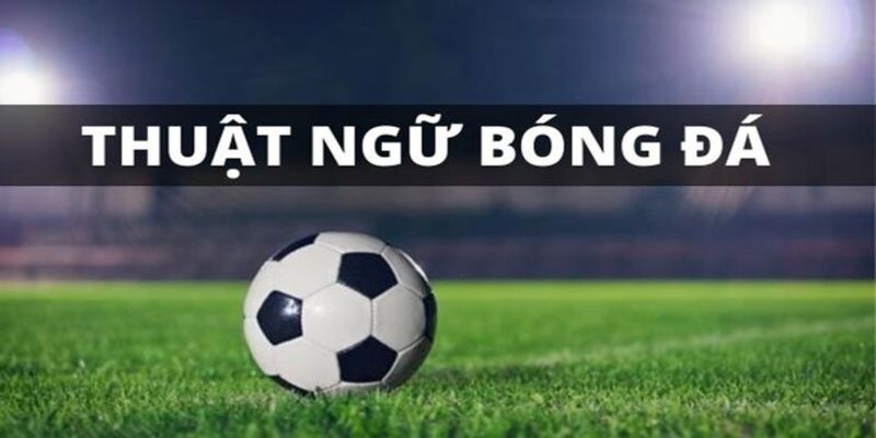 Cách Áp Dụng Thuật Ngữ Cá Độ Bóng Đá Vào Cược