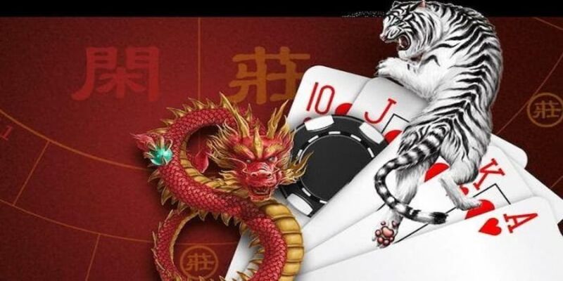 Các Cửa Cược Trong Rồng Hổ
